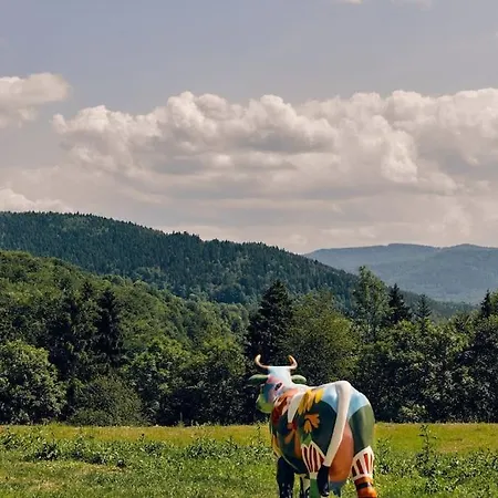 Makolandia - Dom W Jalowcach Makow Podhalanski